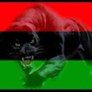 Meet your Posher, Antoine